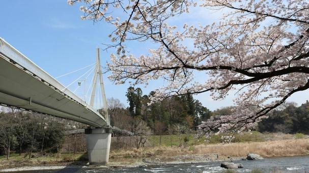 🌳 카마노후치 공원 이미지 6